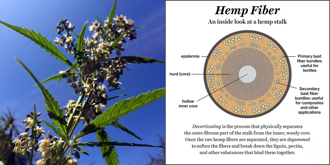What are the common challenges faced in hemp fiber production?