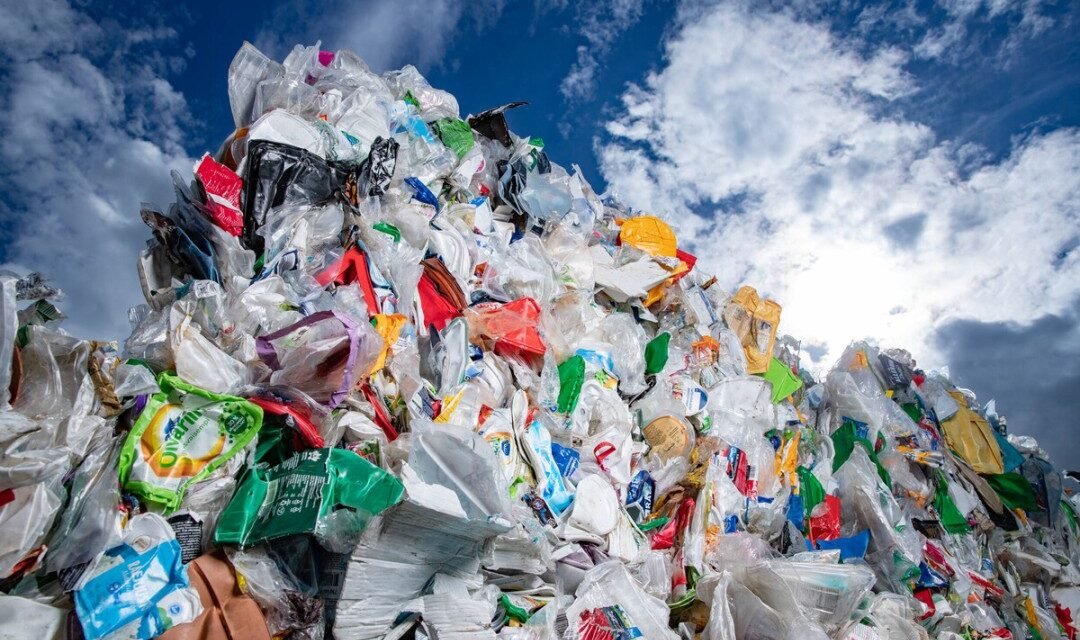What innovations are addressing the challenge of single-use plastic waste?