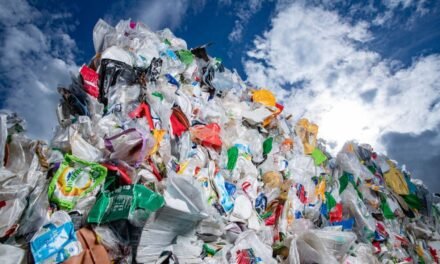 What innovations are addressing the challenge of single-use plastic waste?