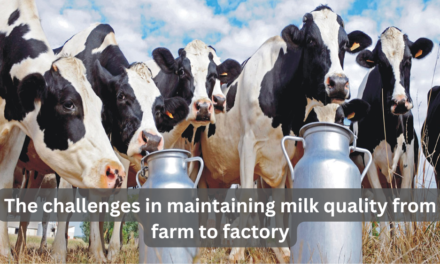 What are the challenges in maintaining milk quality from farm to factory?