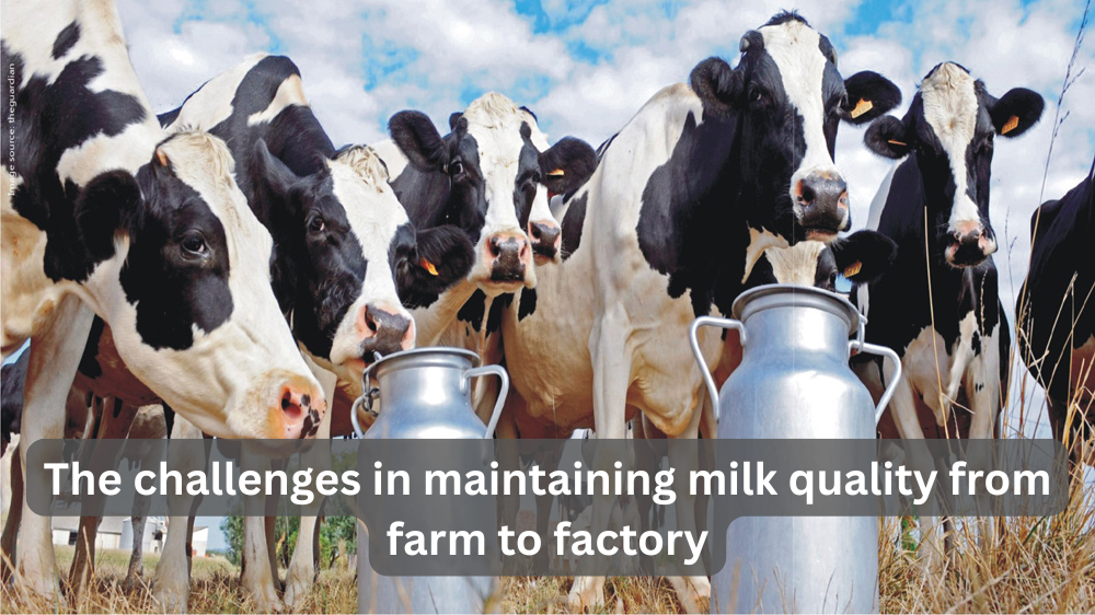 What are the challenges in maintaining milk quality from farm to factory?