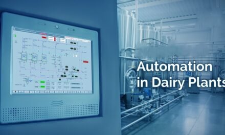 How is automation improving efficiency in dairy processing plants?