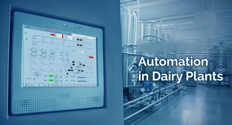How is automation improving efficiency in dairy processing plants?