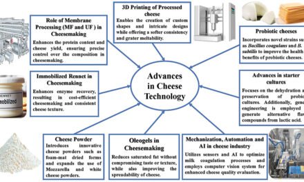 What are the key technologies used in cheese production?