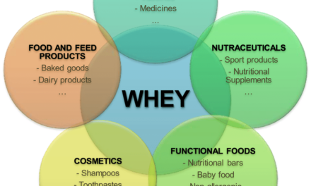 How is whey protein extracted, and what are its major applications?