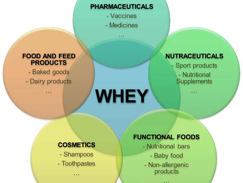 How is whey protein extracted, and what are its major applications?