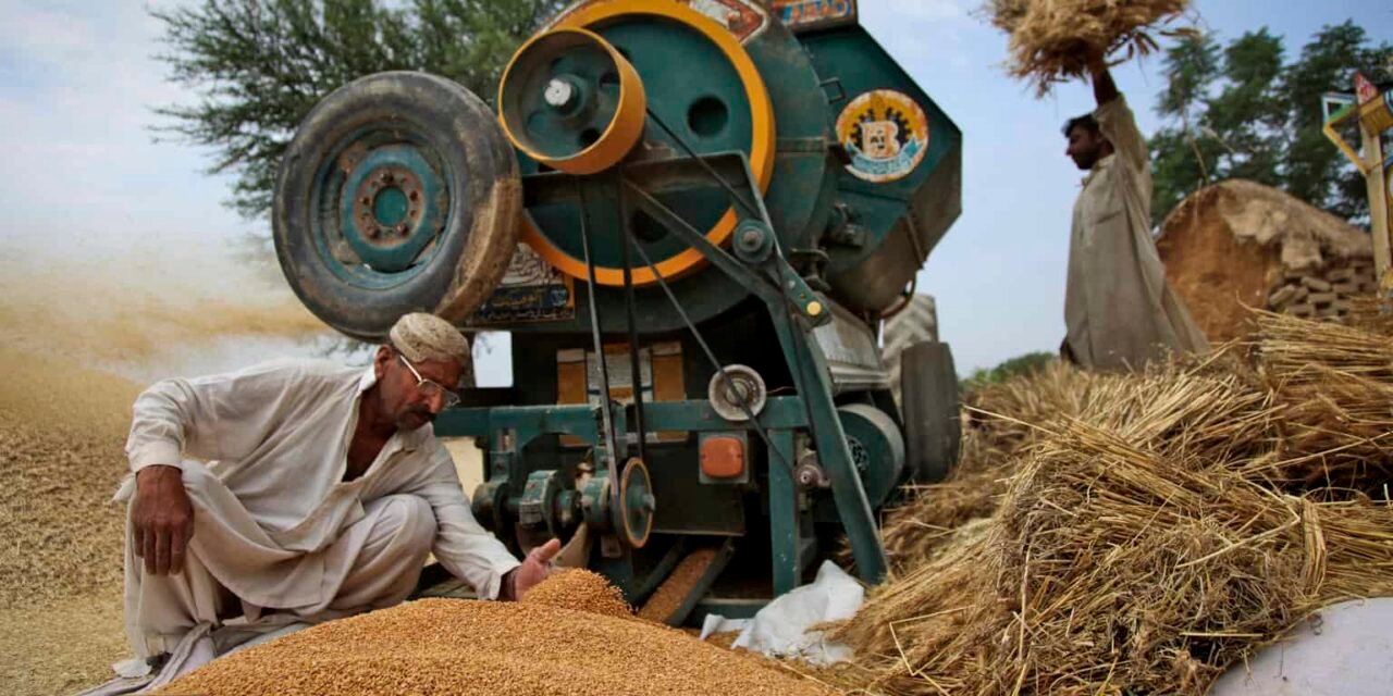 What role does milling play in the production of fortified flour?
