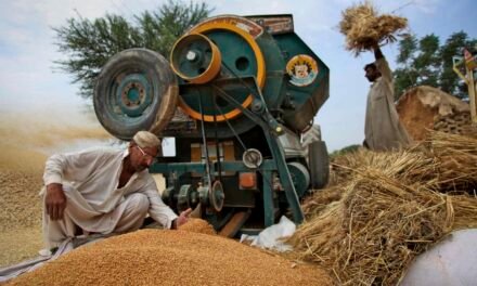 What role does milling play in the production of fortified flour?
