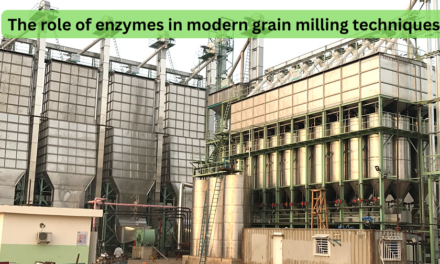 What is the role of enzymes in modern grain milling techniques?