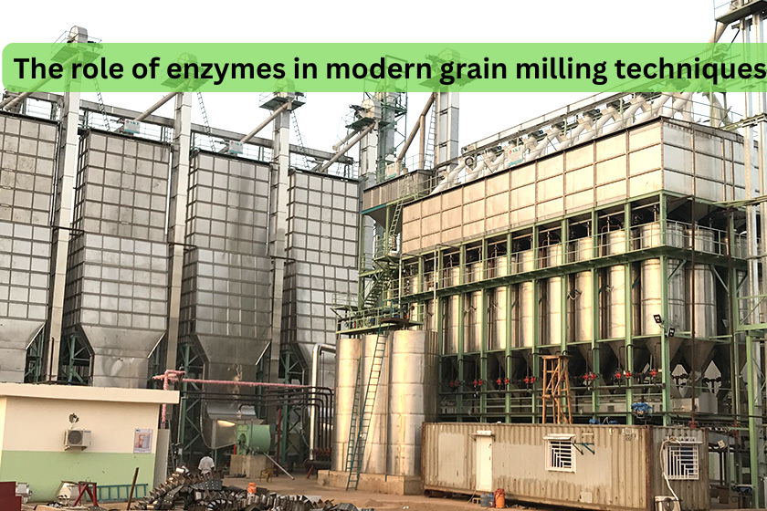 What is the role of enzymes in modern grain milling techniques?