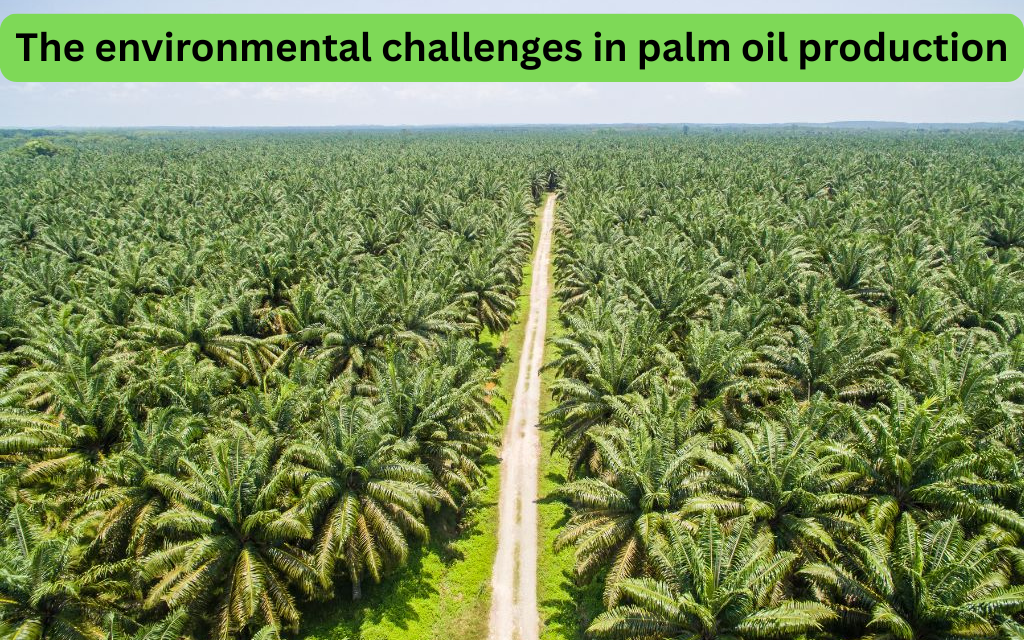 What are the environmental challenges in palm oil production?