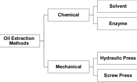 How do mechanical and chemical oil extraction processes differ?