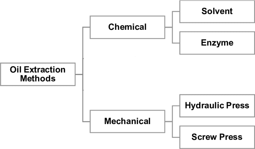 How do mechanical and chemical oil extraction processes differ?
