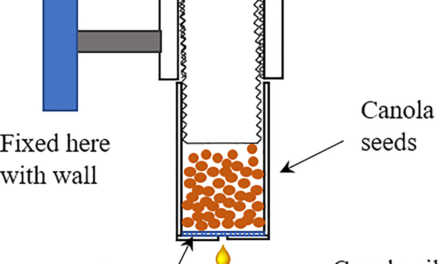 What are the innovations in cold-press oil extraction techniques?