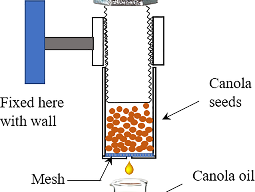 What are the innovations in cold-press oil extraction techniques?