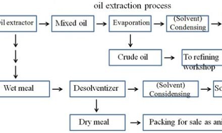 How do oil extraction processes impact the flavor profile of oils?