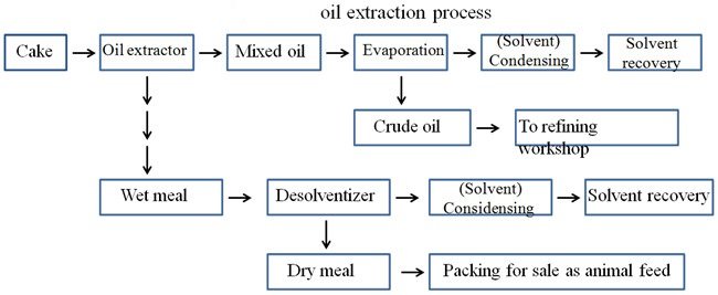 How do oil extraction processes impact the flavor profile of oils?