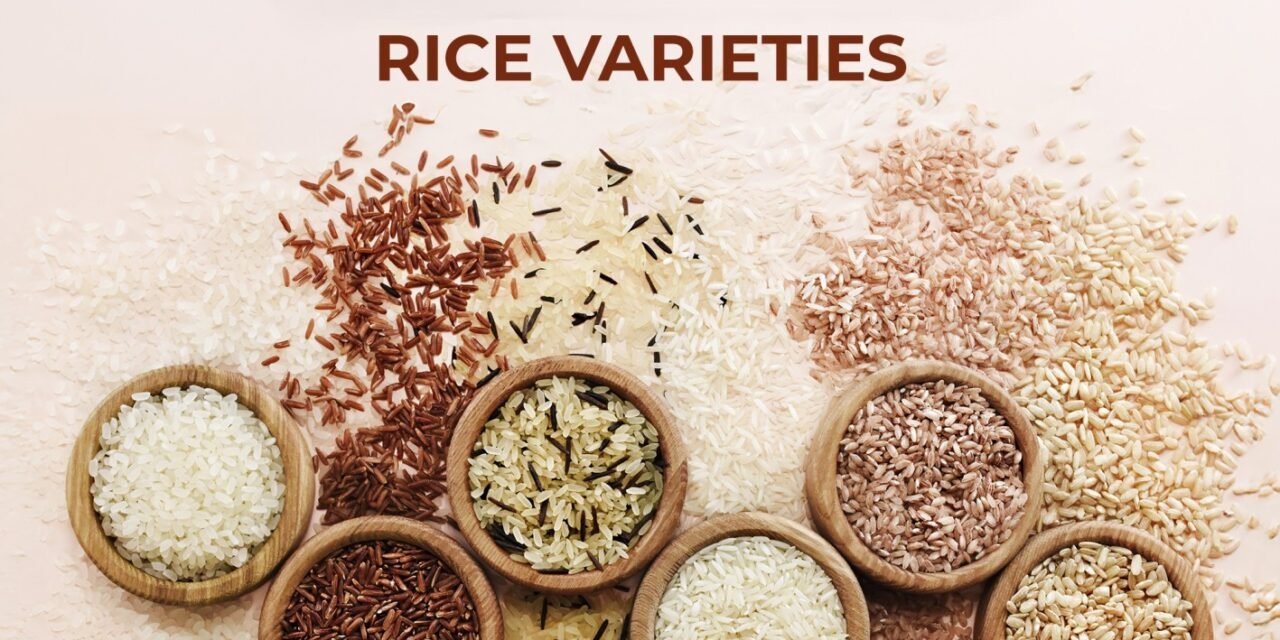 What are the different varieties of rice grown globally and their nutritional profiles?