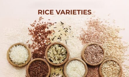 What are the different varieties of rice grown globally and their nutritional profiles?