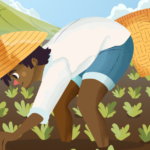 How can farmers mitigate the effects of pests in rice cultivation?