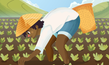 How can farmers mitigate the effects of pests in rice cultivation?
