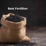 What are the best fertilizers for maximizing rice production?