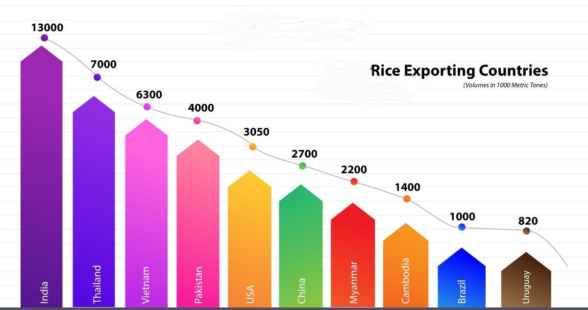 What are the export opportunities for rice producers in developing countries?