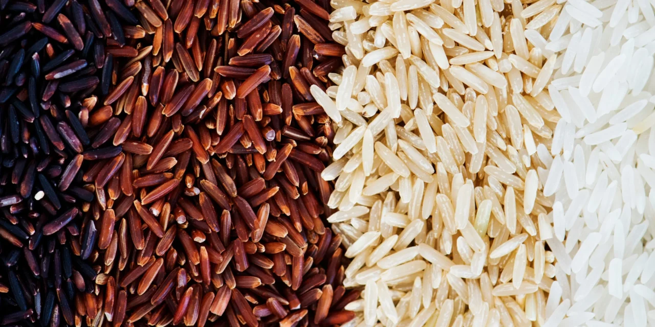 What are the differences between white, brown, and red rice in terms of processing and health benefits?