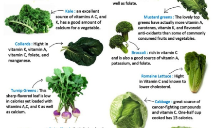 What are the nutritional differences among various leafy vegetables?