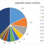 What are the leading export markets for fresh vegetables?