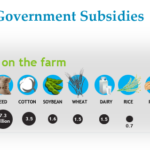 How do government subsidies impact vegetable farming?
