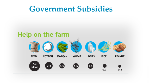 How do government subsidies impact vegetable farming?