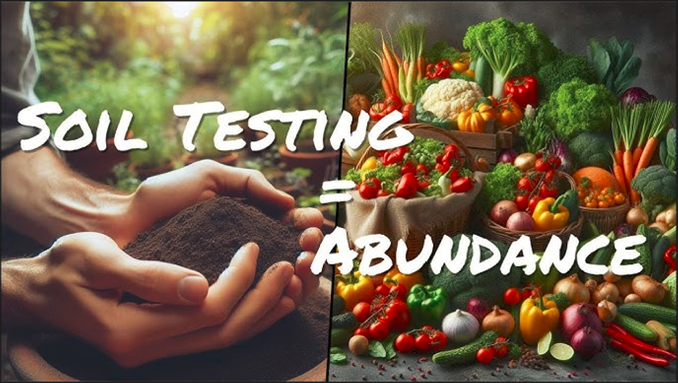 How can soil testing improve vegetable production?