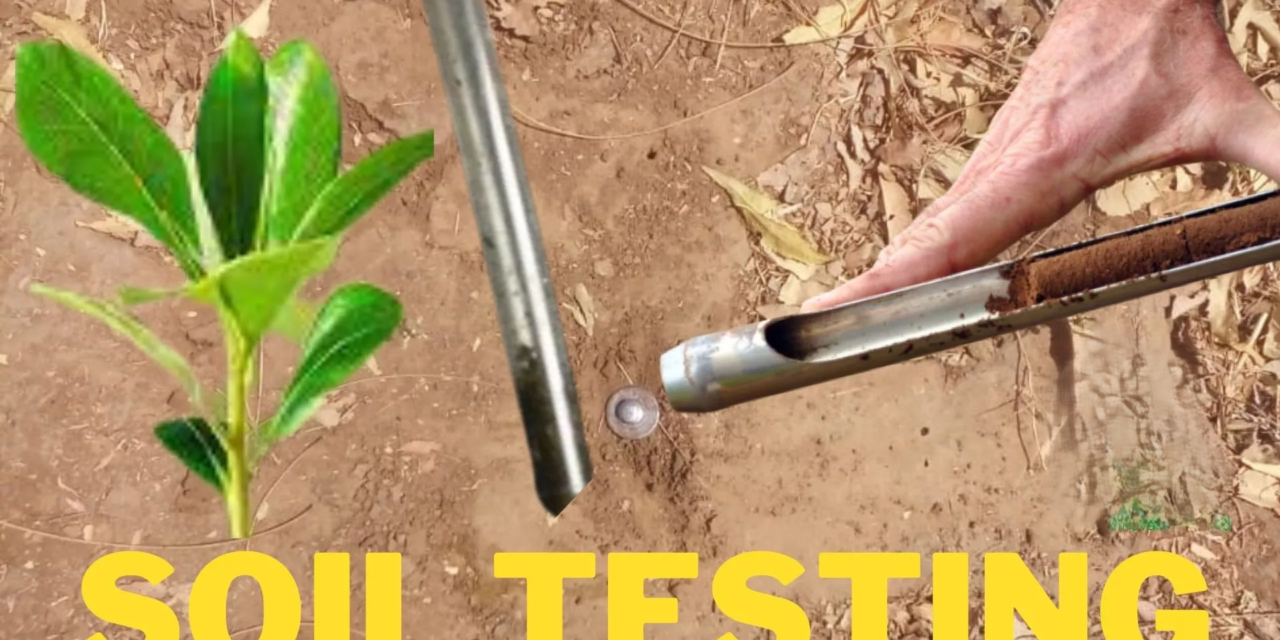 How does soil testing help in choosing the right fertilizer?