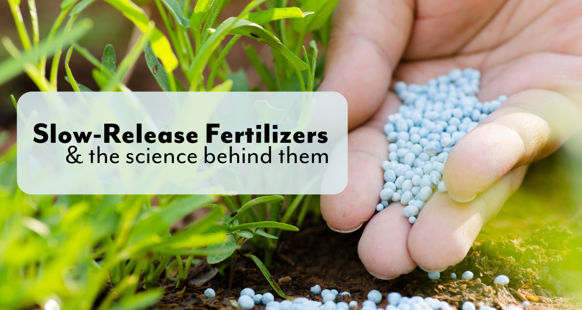 What are slow-release fertilizers, and how do they work?