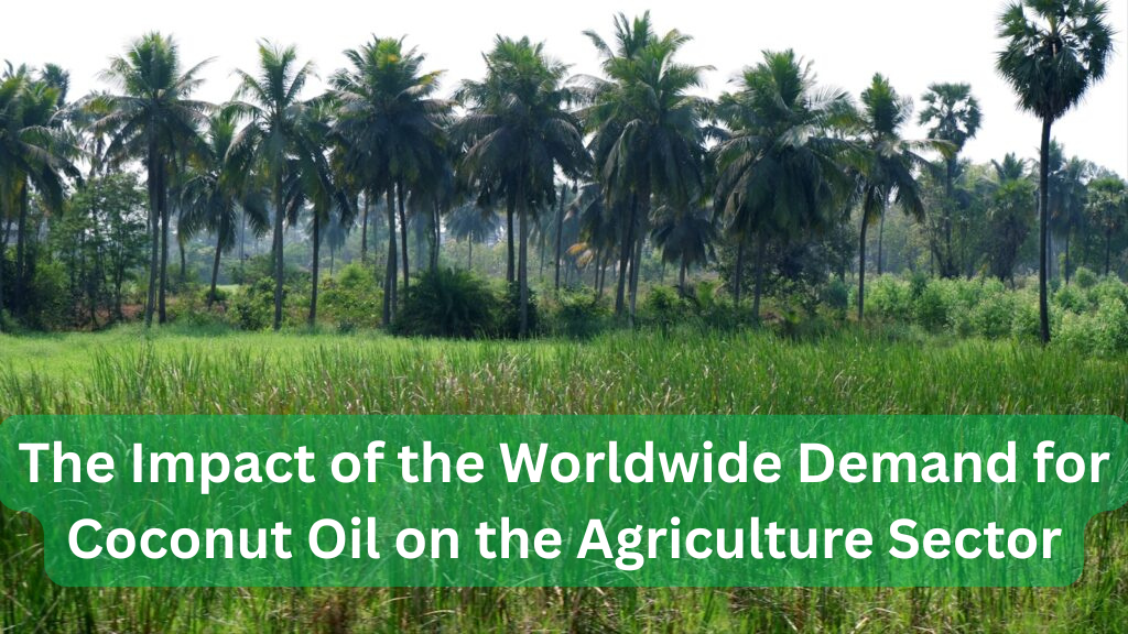 The Impact of the Worldwide Demand for Coconut Oil on the Agriculture Sector
