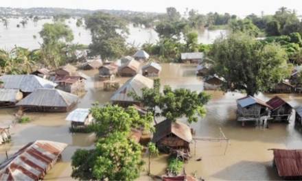 The ‘Unprecedented’ Floods in Eastern Senegal Devastate Harvests