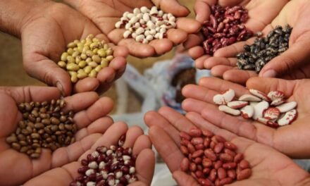 Tamil Nadu Farmers Seek Improved Seed Varieties for Better Yields