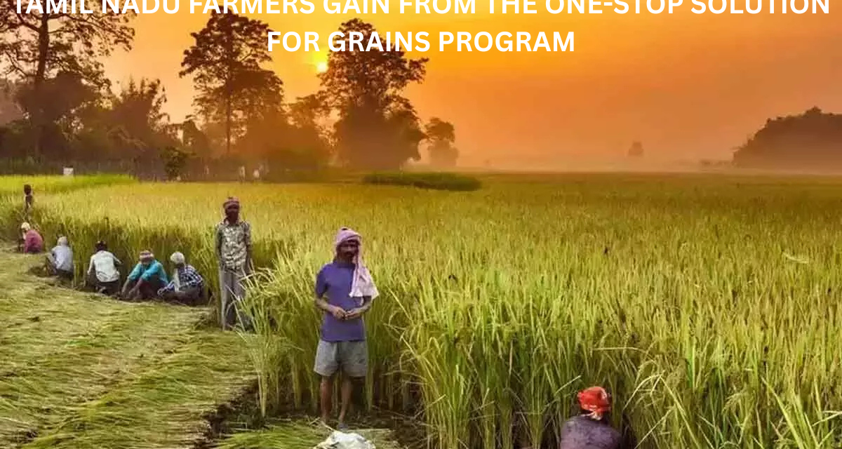 Tamil Nadu Farmers Gain from the One-Stop Solution for Grains Program