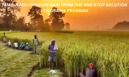 Tamil Nadu Farmers Gain from the One-Stop Solution for Grains Program