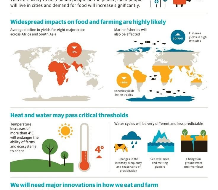 Food Production’s Future in a Changing Climate: Sustainable Agriculture