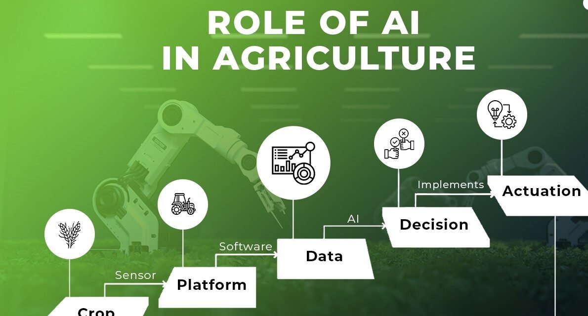 How AI and Automation Will Affect the Processing of Agricultural Products in the Future