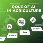 How AI and Automation Will Affect the Processing of Agricultural Products in the Future