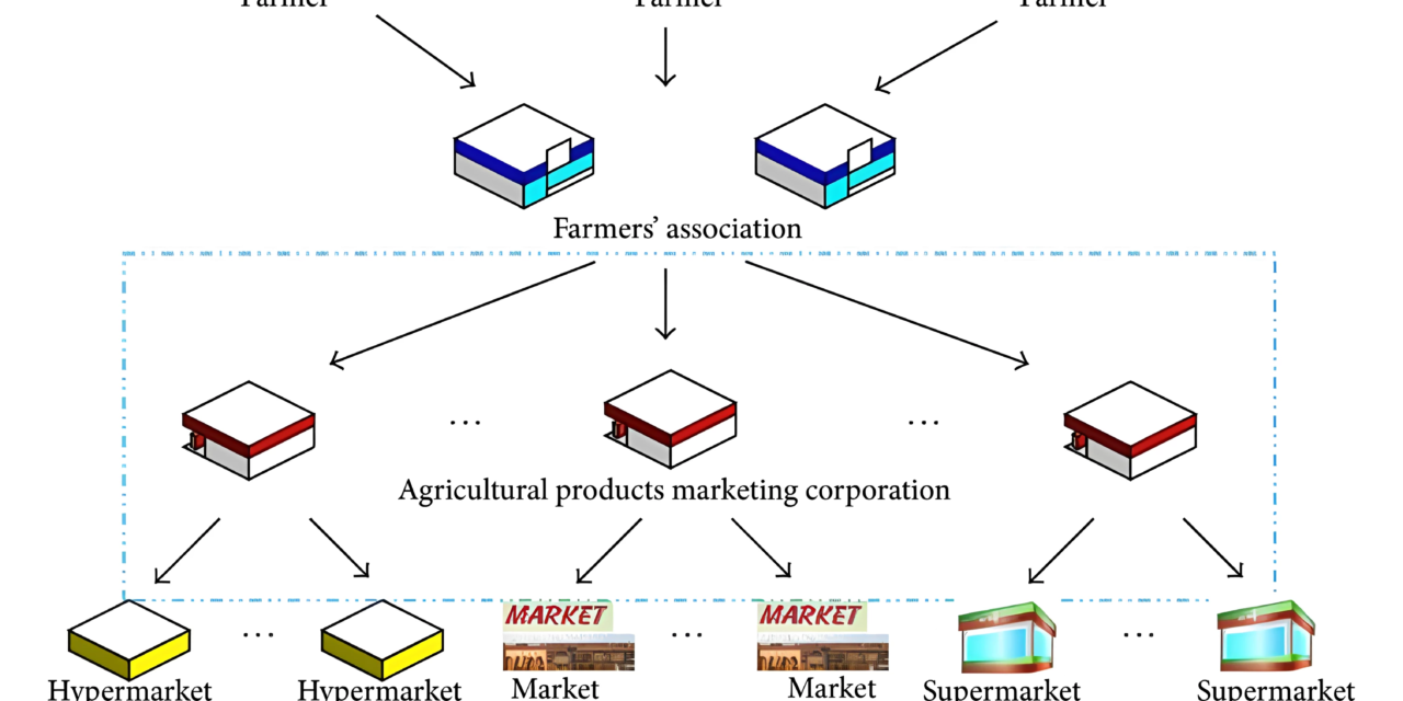 Changes in the Global Supply Chain and Their Effect on the Manufacturing of Agricultural Products