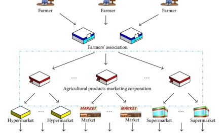 Changes in the Global Supply Chain and Their Effect on the Manufacturing of Agricultural Products