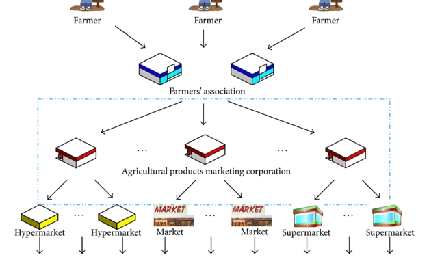 Changes in the Global Supply Chain and Their Effect on the Manufacturing of Agricultural Products