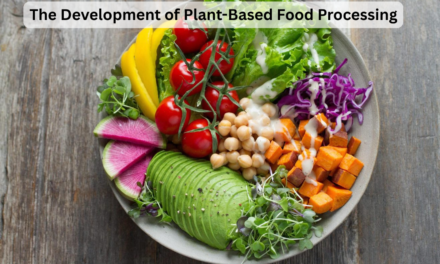 The Development of Plant-Based Food Processing: An Examination of Alternative Proteins’ Prospects