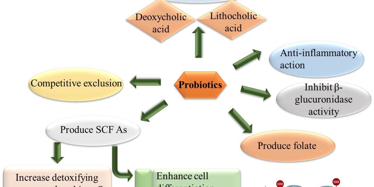 What is the role of probiotics in driving demand for functional dairy products?