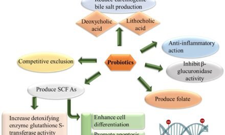 What is the role of probiotics in driving demand for functional dairy products?