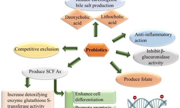 What is the role of probiotics in driving demand for functional dairy products?